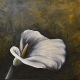 16x16 Original Modern Semi Impressonist Contemporary Calla Lily Painting By Alisha 5 small