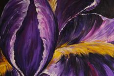 30x25 Original Modern Semi Impressonist Contemporary Abstract Iris Painting By Alisha 3 small