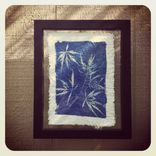 Plant Prints 2 small