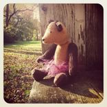 Lucy -- Two Toned 12 " Bear 3 small