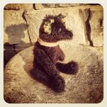 Eddie -- The Mohair Vintage Bear 1 small