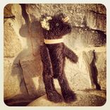 Eddie -- The Mohair Vintage Bear 2 small