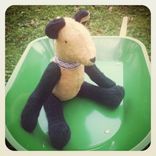 Two Toned Vintage Bear 2 small
