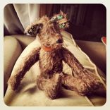 "Henry" -- A Handmade Mohair Bear 4 small