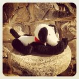 Jointed Dog Terrier Collie /Hand Stitched Details /Recycled Materials 2 small