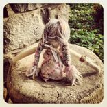 Rag Doll Organic Cotton Muslin /Plant Dyed /Up-Cycled / Vintage Clothing 4 small