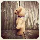 Furry Felt Bear Hand Stitched /Jointed /Embroidered Details /Reworked And Recycled Materials 3 small