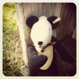 Vintage Style Bear Cream And Black/ Embroidered Details /Reworked And Recycled Materials 2 small