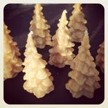 Pure Local Beeswax // Pine Trees // Set Of 3 2 small