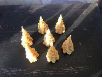 Pure Local Beeswax // Pine Trees // Set Of 3 3 small
