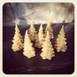 Pure Local Beeswax // Pine Trees // Set Of 3 4 small