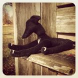 Jointed Dog Greyhound /Fur Made From Recycled Bottles /Vintage Style /Hand Stitched Details 1 small