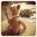 Mohair Bear /Heirloom /Jointed /Vintage Style / Hand Stitched /Liberty Of London Fabric /Leather 5 small