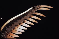 Pegasus A Fantasy Chair 2 small