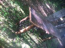 Live Edge Hall Or Sofa Table 5 small