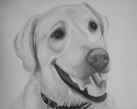 Custom Pencil Portrait 2 small