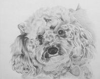 Custom Pencil Portrait 3 small