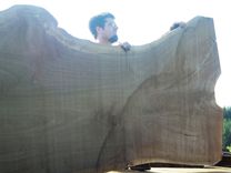 Black Walnut Live Edge Slabs Very Rare 55 5 small