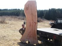 Live Edge Slab Tops We Make The Slab Out Of Trees 6 small