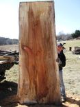 Live Edge Slab Tops We Make The Slab Out Of Trees 1 small