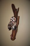 Owl On Driftwood Wood Carving 2 small