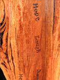 Ponder Bench 3 small