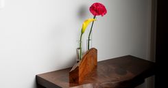 Life On Mars Propagation Vase 1 small