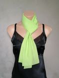 Mint Green Chiffon Scarf 1 small