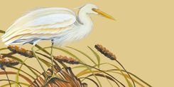 Set Of 2 Prints Of Blue Heron  And White Egret 2 small