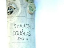 Personalized Wedding Aspen Or Birch Log Wall Hanging 6 small
