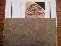 Four Winged Serpent. 2 small