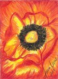 "Pop" Fine Art Original Drawing 4 small