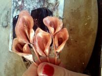 Calla Lily Headband Piece 3 small