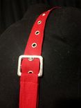 Harley Quinn Corset - Arkham Asylum 2 small