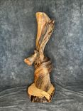 Handmade Twisted Juniper Taxidermy Pedestal 4 small