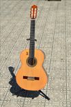 Classical Guitar Solid Nogal Back & Sides / Red Cedar Top. (Free 5 Day Expedited Ups Shipping) 1 small