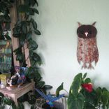 Owl Wall Art Sculpture Recycled Metal Animal Wall Decor Folk Art Kitchen Wall Decor Bird Art 7 X 15 3 small