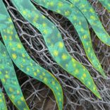 Sea Life Wall Art Sculpture - Jellyfish - Reclaimed Metal Ocean Wall Decor Beach House Wall Art 5 small