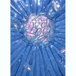 Fused Glass Suncatcher With Dichroic Accents 1 small