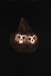 Owl Hand Carved And Sculpted 1 small