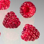 One Realistic Glass Red Raspberry Sculpture, Hand Blown and Life-Sized 1 small