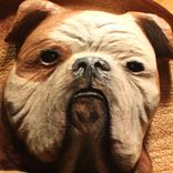 Custom Carved Wooden Signs | Dog Signs | Dog Memorials | Handmade Signs | Dog Sculpture 6 small