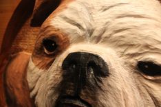 Custom Carved Wooden Signs | Dog Signs | Dog Memorials | Handmade Signs | Dog Sculpture 3 small