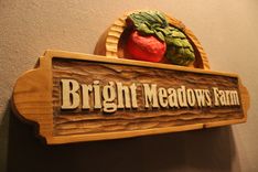 Custom Carved Wood Signs, Home Signs, Cabin Signs, Cottage Signs, Farm Signs, Business Signs 3 small
