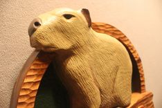 Zoo Signs | Animal Signs | Wildlife Signs | Custom Carved Wood Signs By Lazy River Studio 5 small