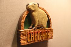Zoo Signs | Animal Signs | Wildlife Signs | Custom Carved Wood Signs By Lazy River Studio 3 small