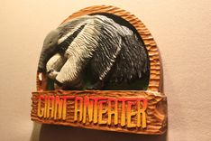 Zoos Signs  | Animal Signs | Wildlife Signs | Custom Signs | Carved Signs By Lazy River Studio 3 small