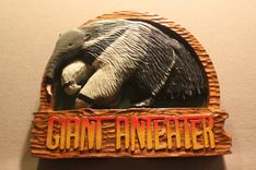 Zoos Signs  | Animal Signs | Wildlife Signs | Custom Signs | Carved Signs By Lazy River Studio 2 small