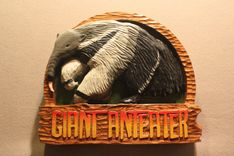 Zoos Signs  | Animal Signs | Wildlife Signs | Custom Signs | Carved Signs By Lazy River Studio 4 small