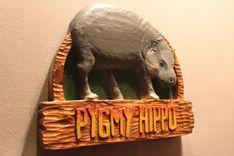 Zoo Signs | Animal Signs | Wildlife Signs | Hand Carved Custom Signs By Lazy River Studio 4 small